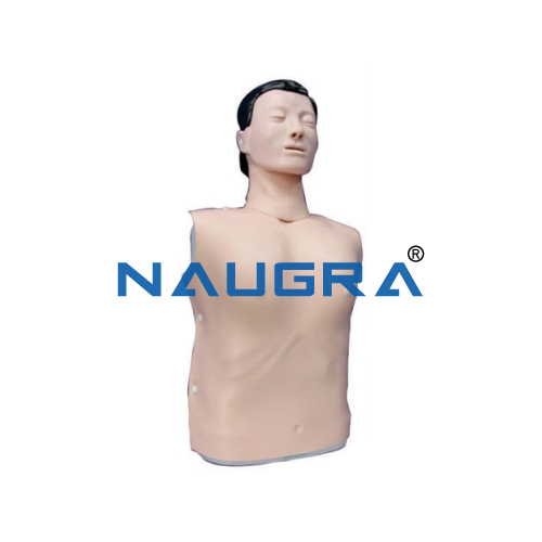 Half Body CPR Training Model Female