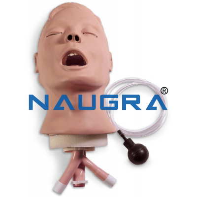 Electric Reachea Intubation Model