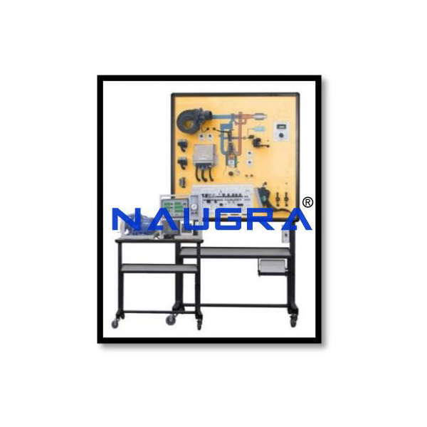 Common Rail Diesel Engine Management System