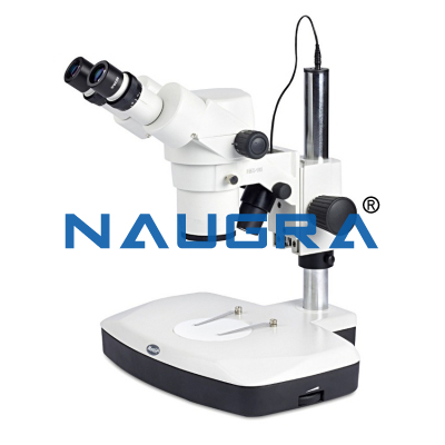 Stereoscopic Zoom Binocular Microscope