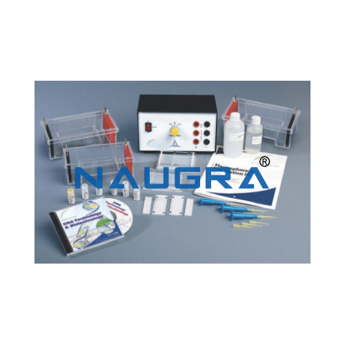 Biology Lab Electrophoresis Lab Station III