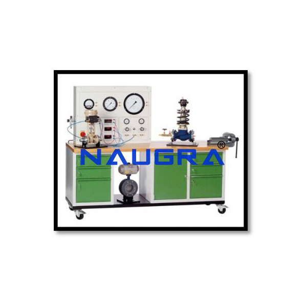 Maintenance of Valves and Fittings and Actuators