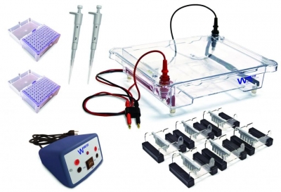 Electrophoresis Classroom Kit