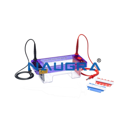 Educational Lab Gel Electrophoresis System