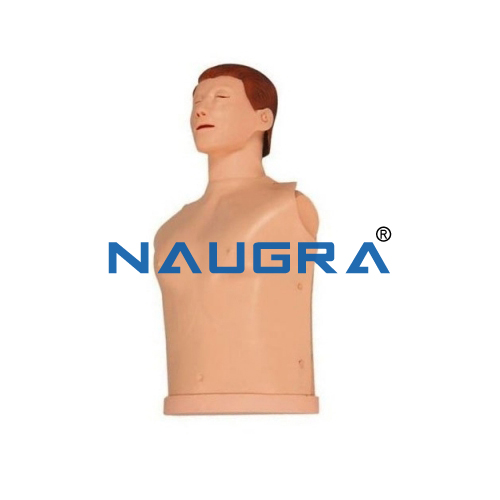 Half Body CPR Training Model Male