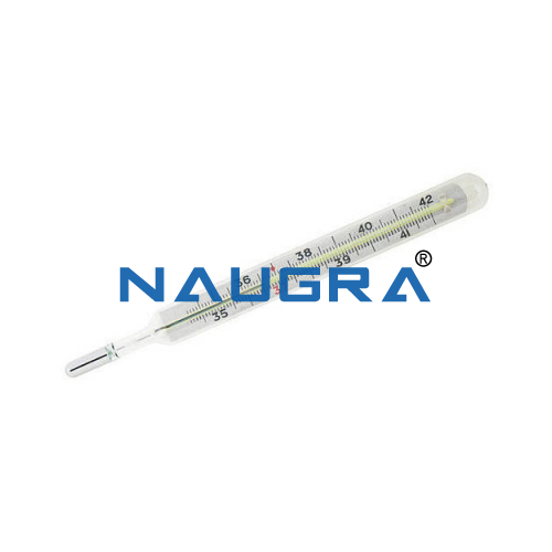 Educational Lab Clinical Thermometer