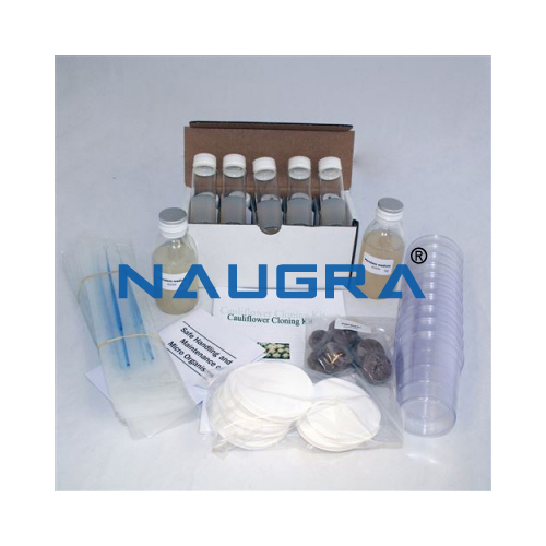 Biology Lab Cauliflower Cloning Kit