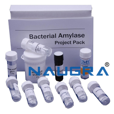 Bacterial Amylase Project Pack