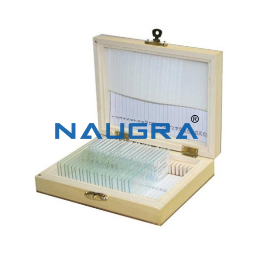 Biology Lab Textile Fibre Prepared Slide Set