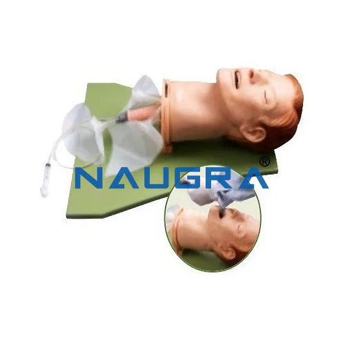 Multi Functional Airway Mangement Model