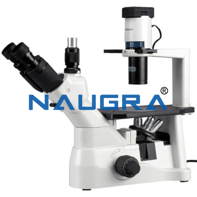 Tissue Culture Microscope