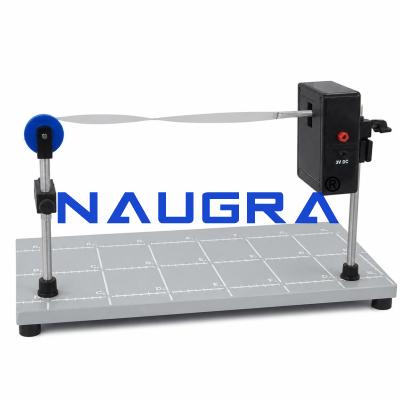 Physics Experiment of Wave