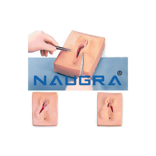 Valva Suturing Training Simulator