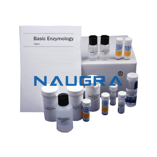 Biology Lab Basic Enzymology Kit