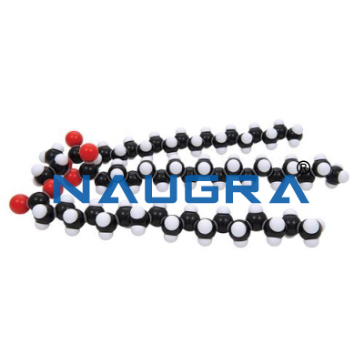 Fat Glyceryl Tristearate Molecular Model Kit