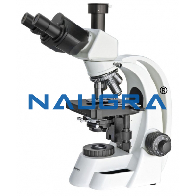 Trinocular Microscope