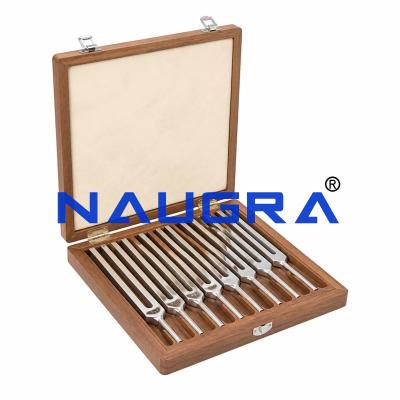 Physics Lab Tuning Fork