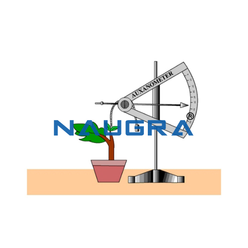 Educational Lab Auxanometer