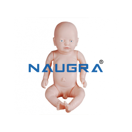 Newborn Intubation Baby Model