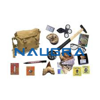 Naugra Fossil Hunt Kit