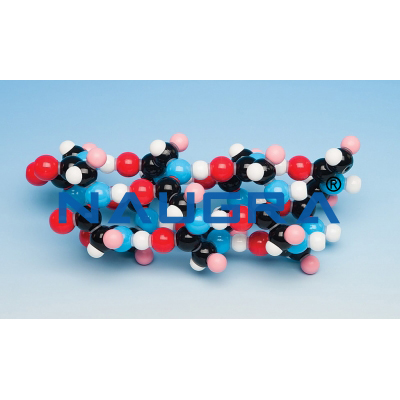 Alpha Helix Molecular Model Kit