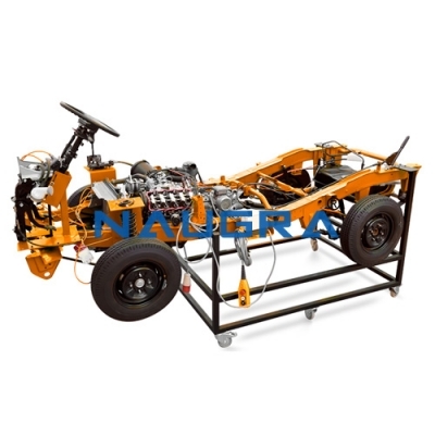 Chassis Petrol Engines Cutaway for Automotive Lab