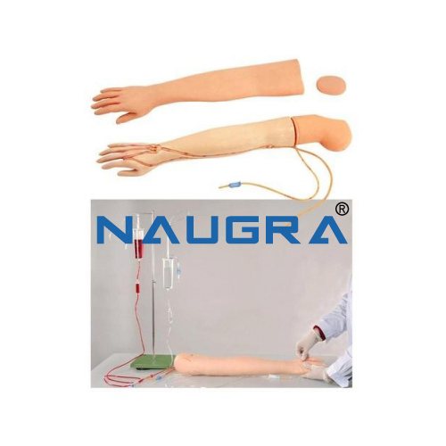 Multi-Functional Adult IV Training Arm Model