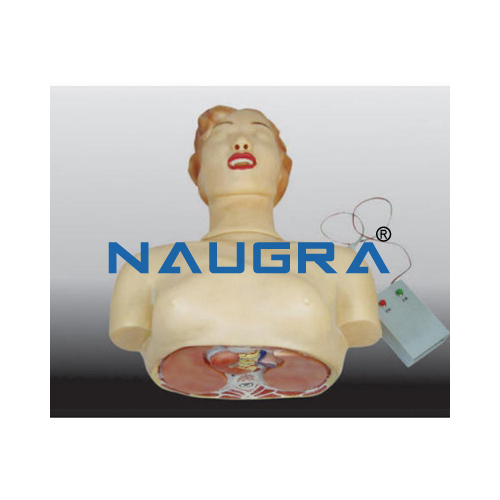 Basic CPR Manikin Half Body With Monitor