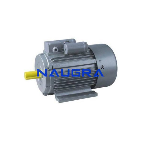 Single Phase Capacitor Start Induction Motor Cut Motor