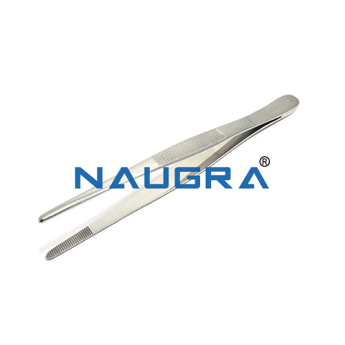 Biology Lab Forceps, Stainless Steel Blunt Tip