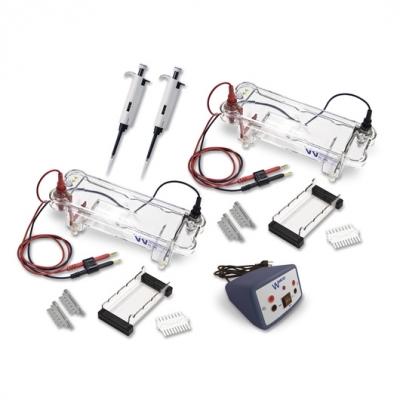 Electrophoresis Dual Station